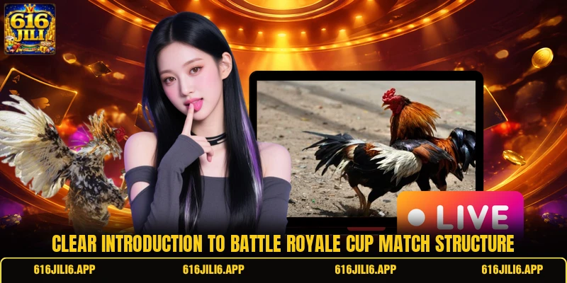 Clear introduction to battle royale cup match structure Clear introduction to battle royale cup match structure
