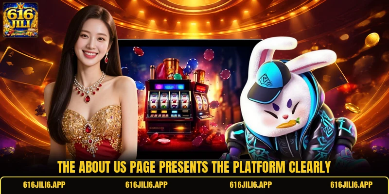 The about us page presents the platform clearly The about us page presents the platform clearly